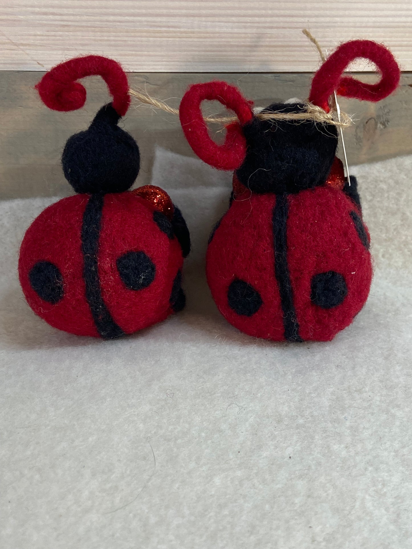 Ladybug couple