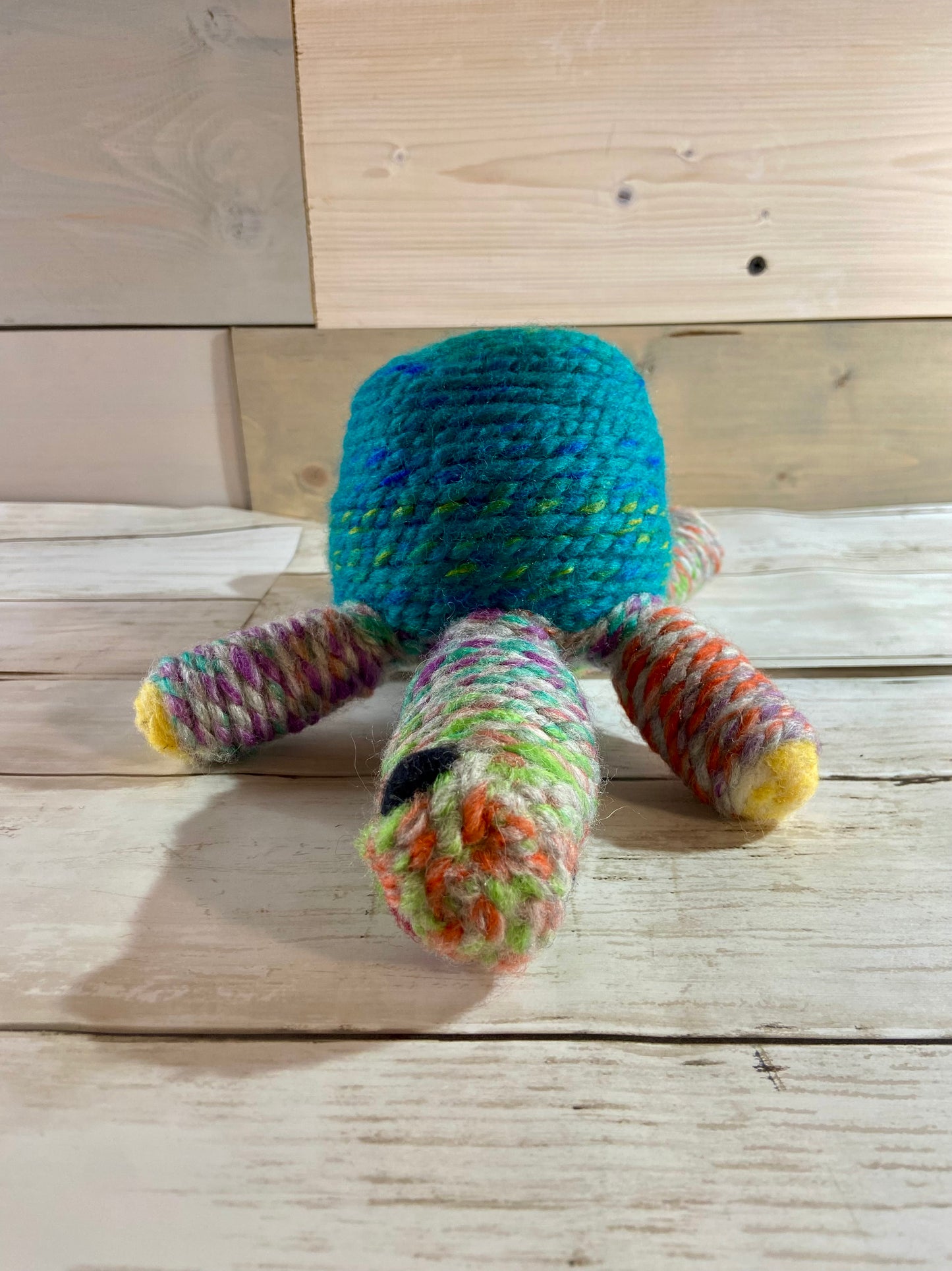 Tony the Turtle - Needle Felt With Wool Yarn