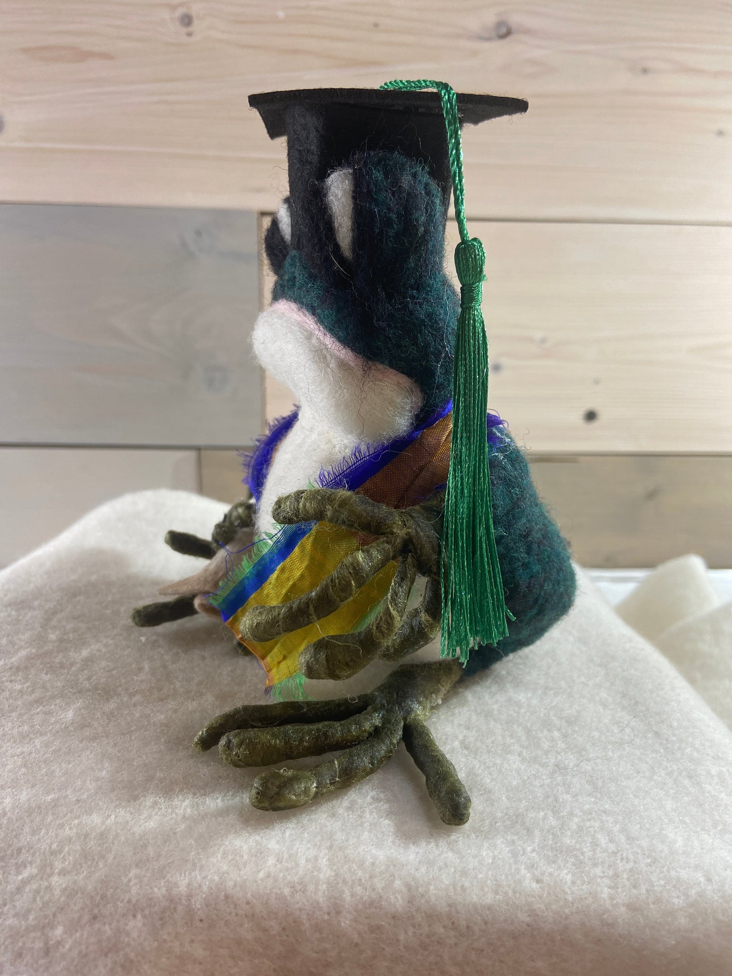 Edward the Graduation Frog