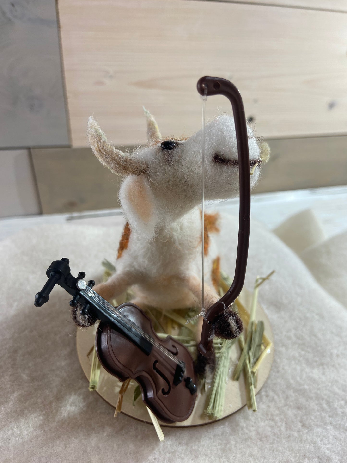 Cow with Cello - Moosician